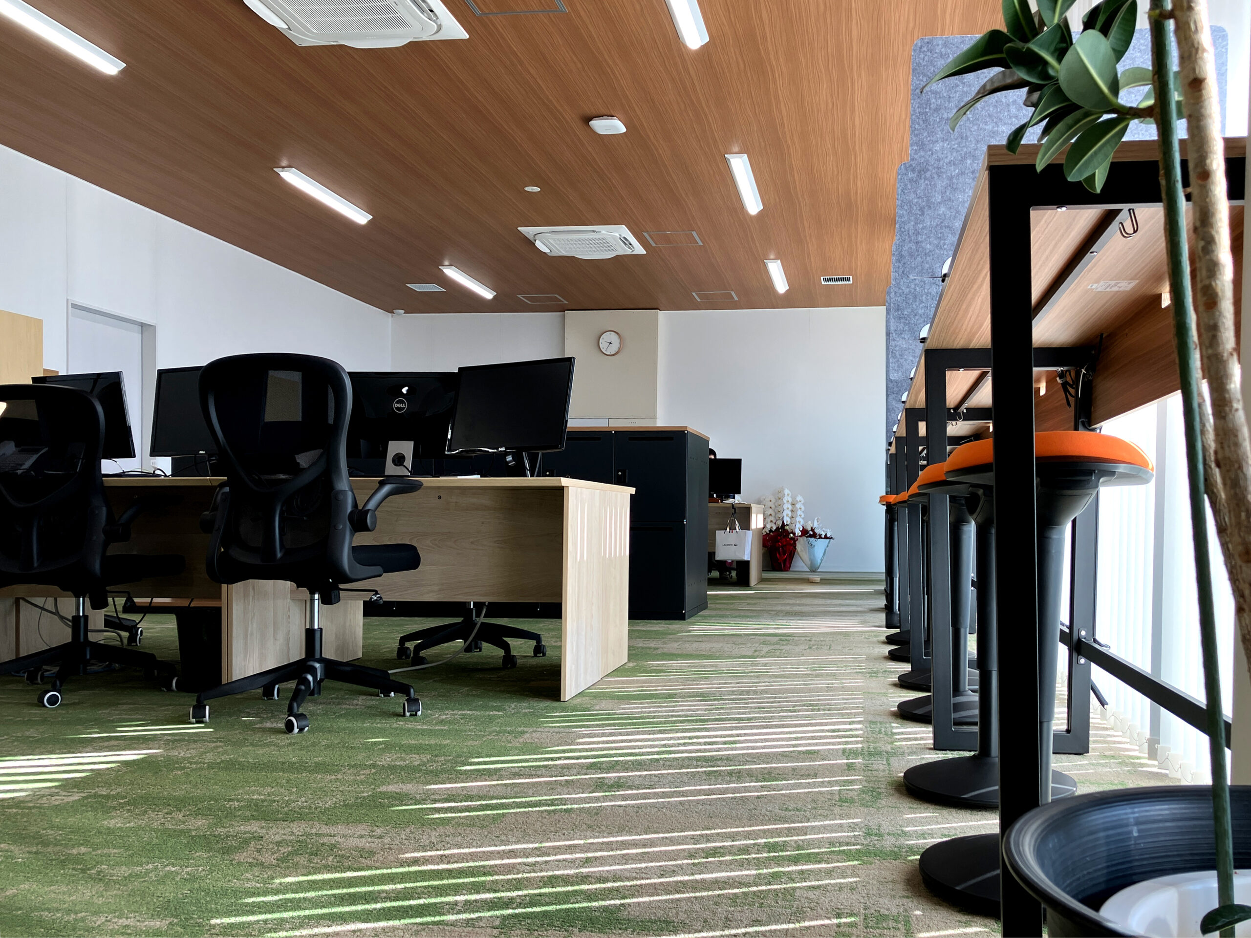 SprouTx本社 事務室